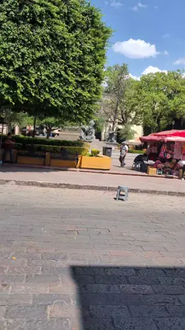 Caminando un día soleado y airoso en el centro de Querétaro #qro #qrolove #fyp #viral #filter 