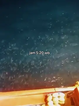 pesona pagi jam 5:20🔥🧜 #kumpulan #ikan #km_muksalmina #lintassimeulue #jaringikan 