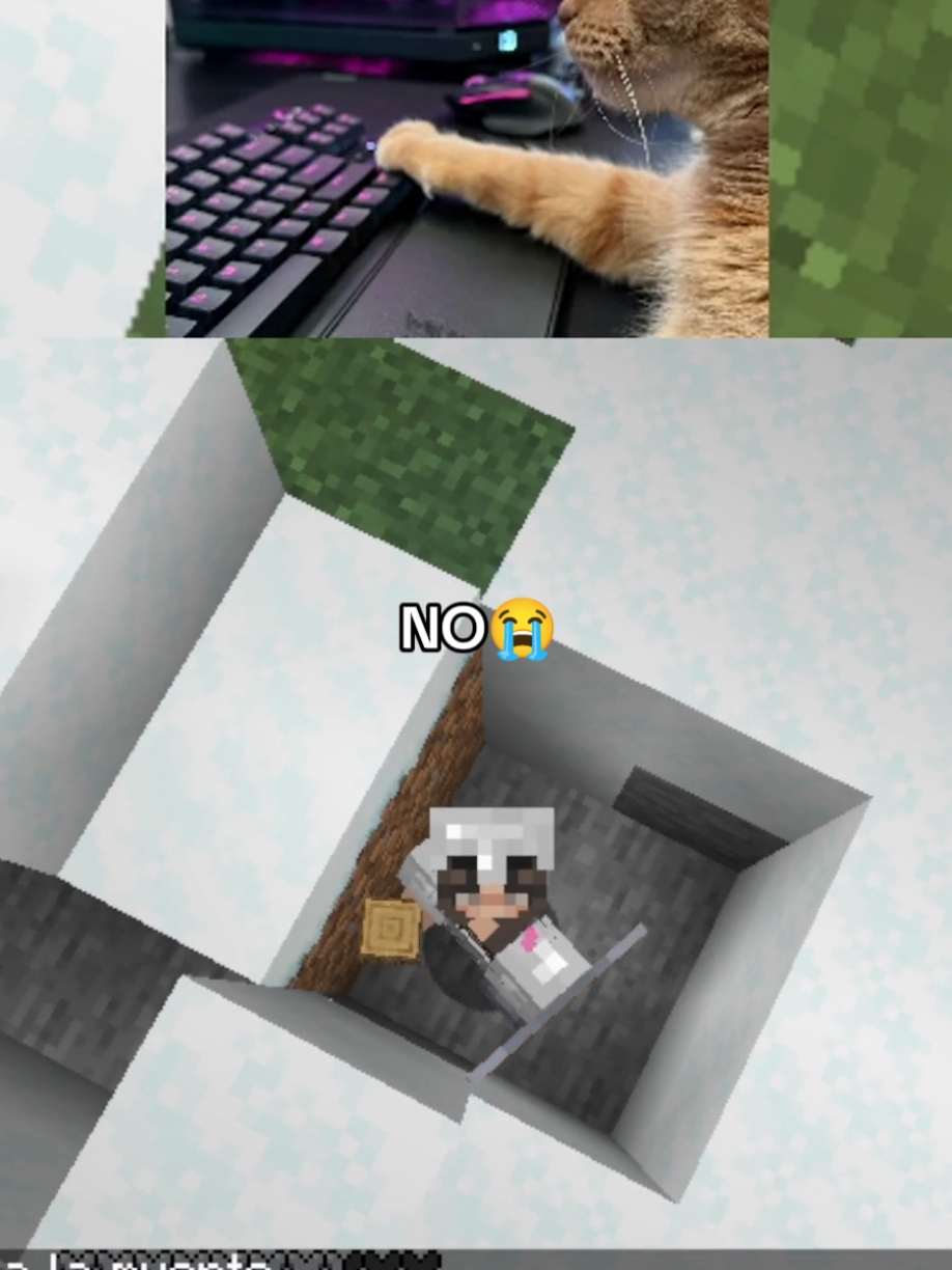 No olviden dejar a sus mascotas en casa cuando salgan 😞#twitchstreamer #gaming #clipsdetwitch #Minecraft #streamer 