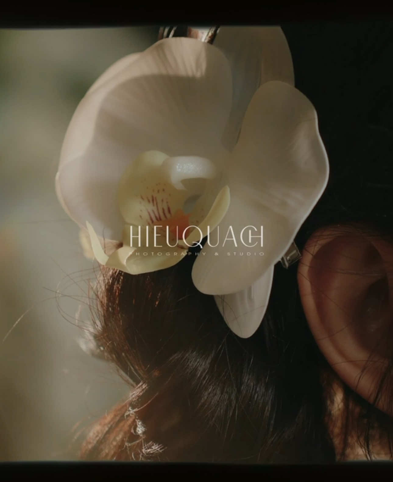 Lễ Ăn Hỏi Phương & Vũ by HIEU QUACH Studio  #hieuquachstudio #phongsucuoicamau #camau 