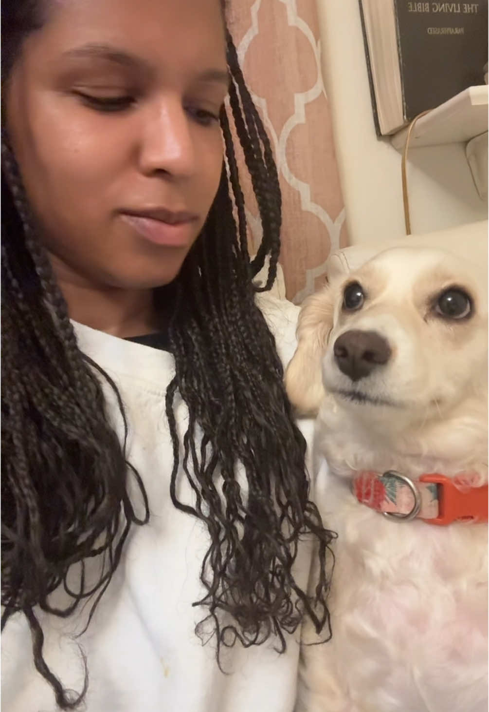 POV: A black person who kisses their dog on the mouth! #animals #pets #puppy #dogsoftiktok #dogs