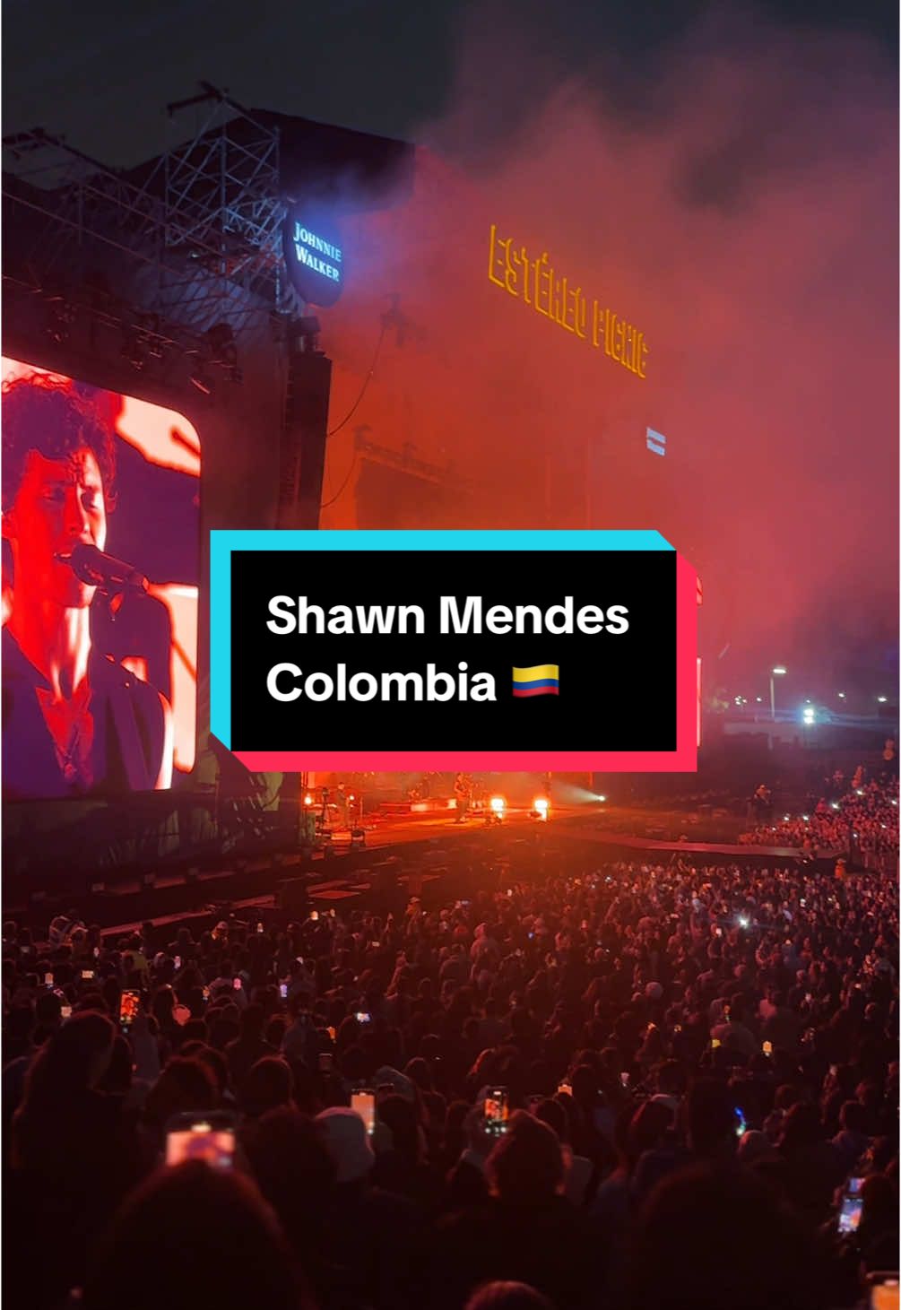 Quedé Señorita * 🫦 *  Primer concierto de Shawn Mendes en Bogotá 📍##concierto##estereopicnic