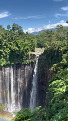 #tumpaksewu #lumajang #waterfall 