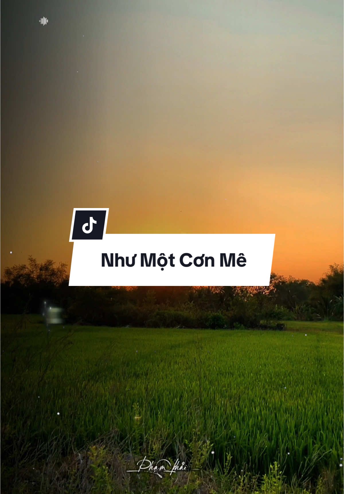 Từ ngày gặp nhau thấy sao trong lòng vấn vương #nhachay #nhacnayhay #nhactamtrang #nhactamtrangbuon💔 #nhacnaynghelanghien #nhacnaychillphet🎶 #xuhuong2024 #xh #fyp #phamkhai94_ 