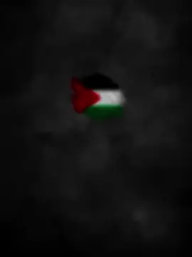#🇵🇸💚 