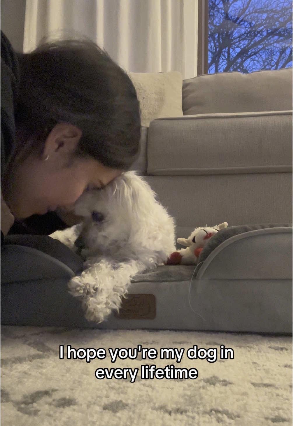 I hope we find each other in every lifetime 🤍 #alldogsgotoheaven #petloss #maltese #rainbowbridge #imissyou #chicago 