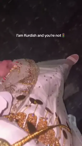 🚦☀️ #kurdish #foryoupagе #kurd #keçekurda #kurdishgirl #kurdistan #كوردستان🇭🇺 