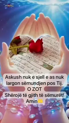 @🌸M🤍O💞N🤍I🌸 #allahu te sheroft sa me shpet vllaqko 🤲🤲🤲🤲🤲💎💎💎💎💎💎🤍🤍🤍🤍🤍🤍♥️♥️♥️♥️♥️♥️♥️♥️🤲🤲🤲🤲