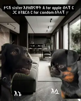 #ethiopian_tik_tok🇪🇹🇪🇹🇪🇹🇪🇹 #viral_video #DKeditor #fyp @LOFTY HARON 