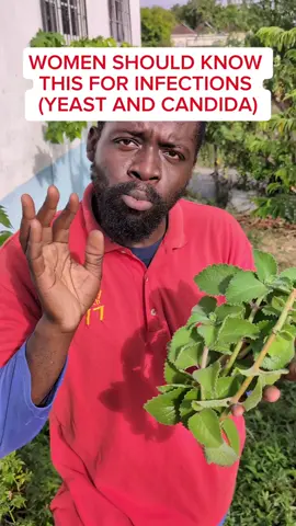 6 Shocking Benefits of Oregano You Didn’t Know! #Oregano #ShockingBenefits #HerbalMedicine #NaturalHealing #ImmuneBoost #GutHealth #Antioxidants #HolisticWellness #WellnessTips #SuperHerb #NatureHeals #HealthBoost #OreganoPower