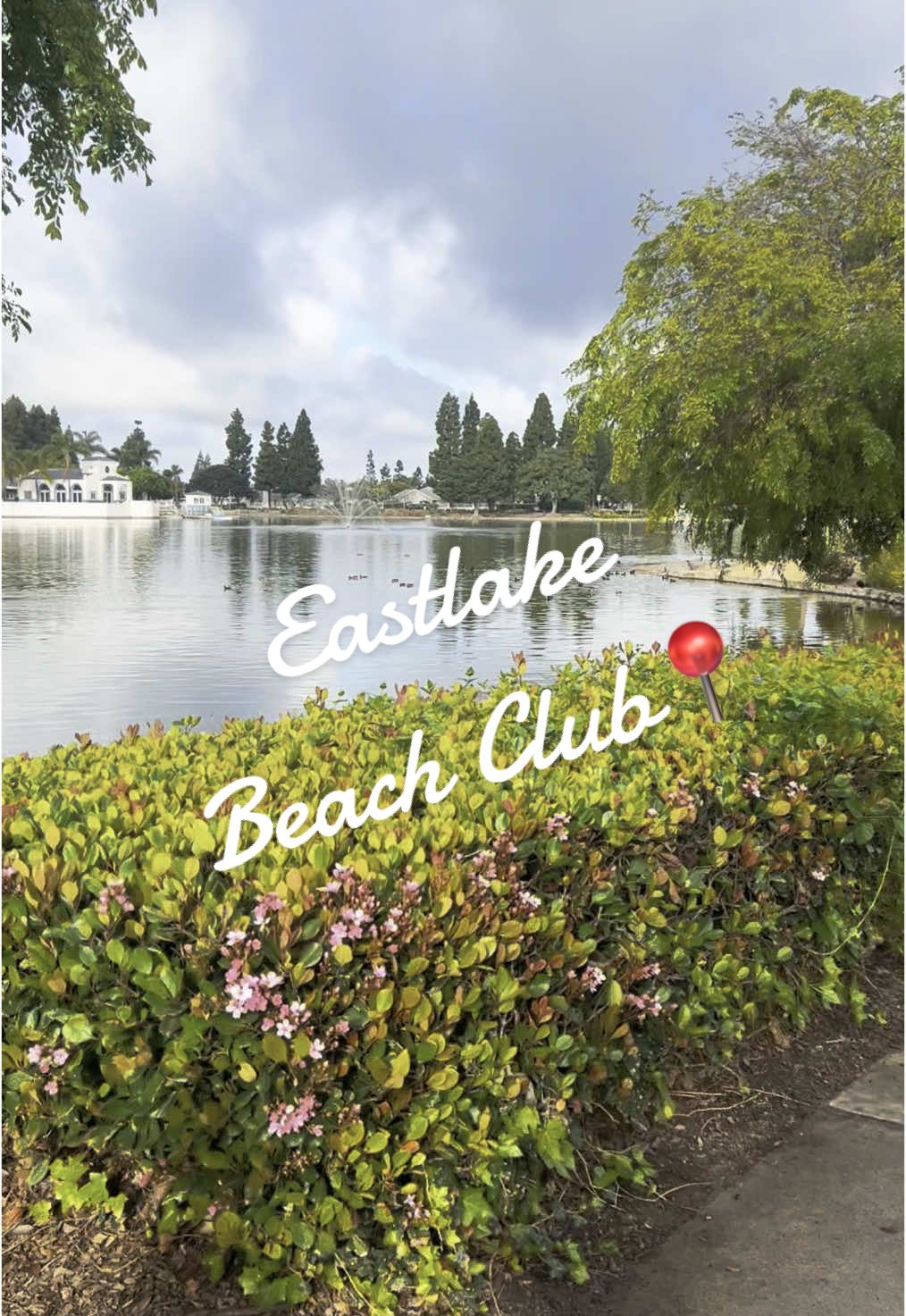 Eastlake Beach Club📍#walk #eastlakewalk #morningwalk 