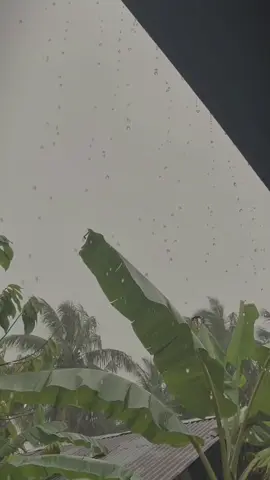 suasana didesa ketika hujan#hujan #badai #sore #foryou #masukberanda #fyp 