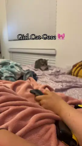 This is the nice version of her..#girlcat #greytabby @Jasmine ୨୧ @not.a.happy.meal 