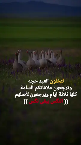 #سكسكيوزمي🚬 #لقطة_فائقة_الثبات 
