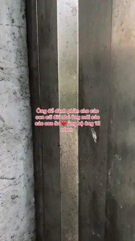 #xuhuong #ngheo #ongngoai #fybシ #trend #vungcao #xh #cuocsong #viral #nhangheo #ga 