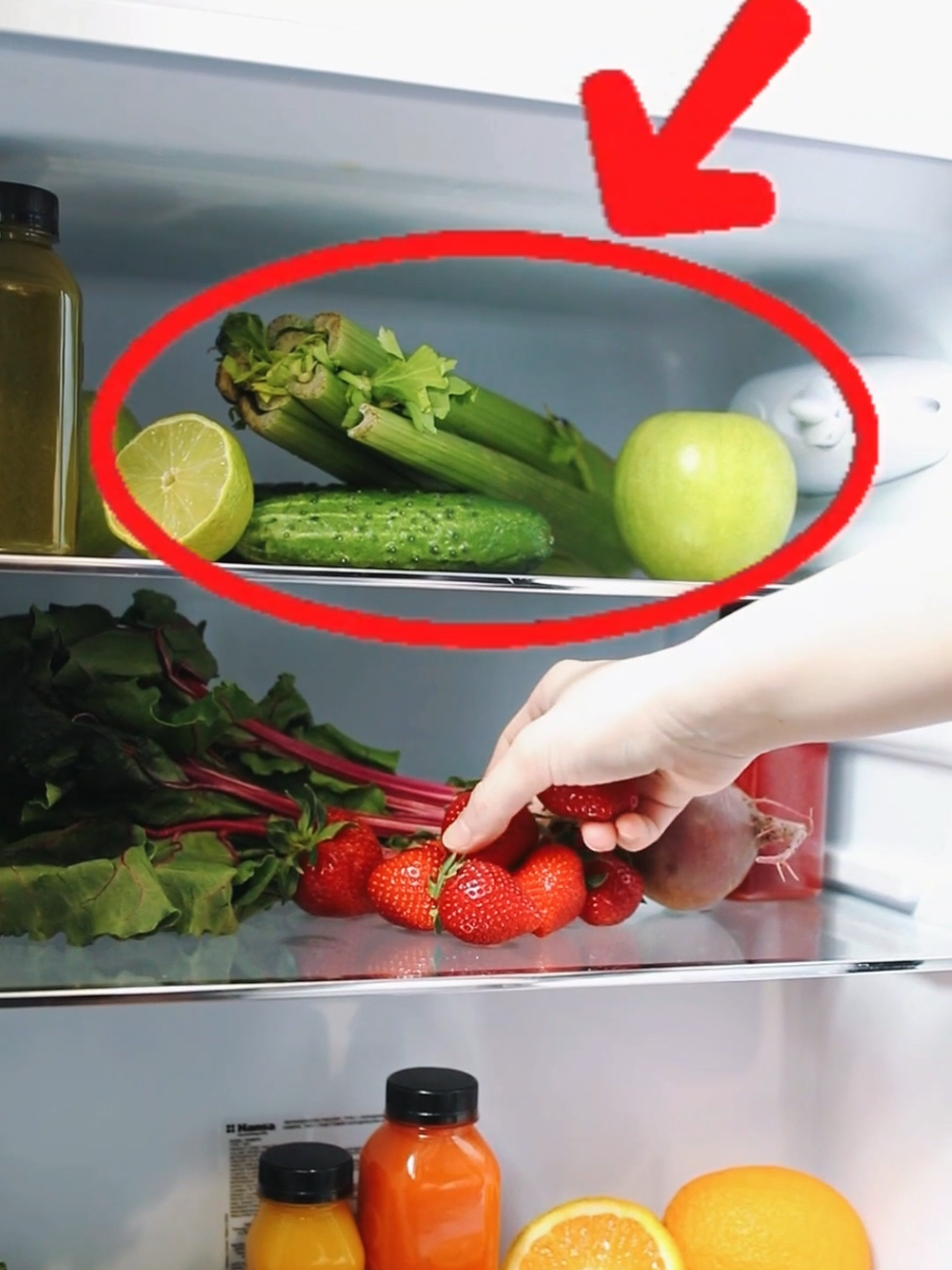 não coloque esses alimentos na geladeira  #alimentossaudaveis #saude #saudeebemestar #alimentos #Saude #alho #cebola #pepino #gengibre #cafe 