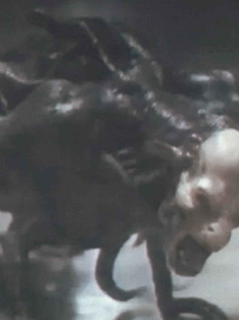 omg this is scary #monster #horrortiktok #CaughtOnCamera #ParanormalCatch #ScaryMoments 