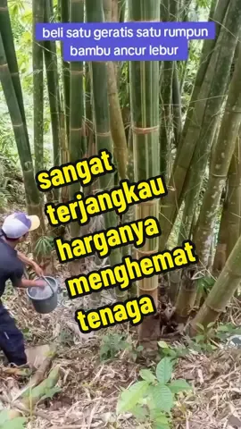 herbisida tri killer beli satu geratis satu #pupukorganikserbuk  #serbukajaib 