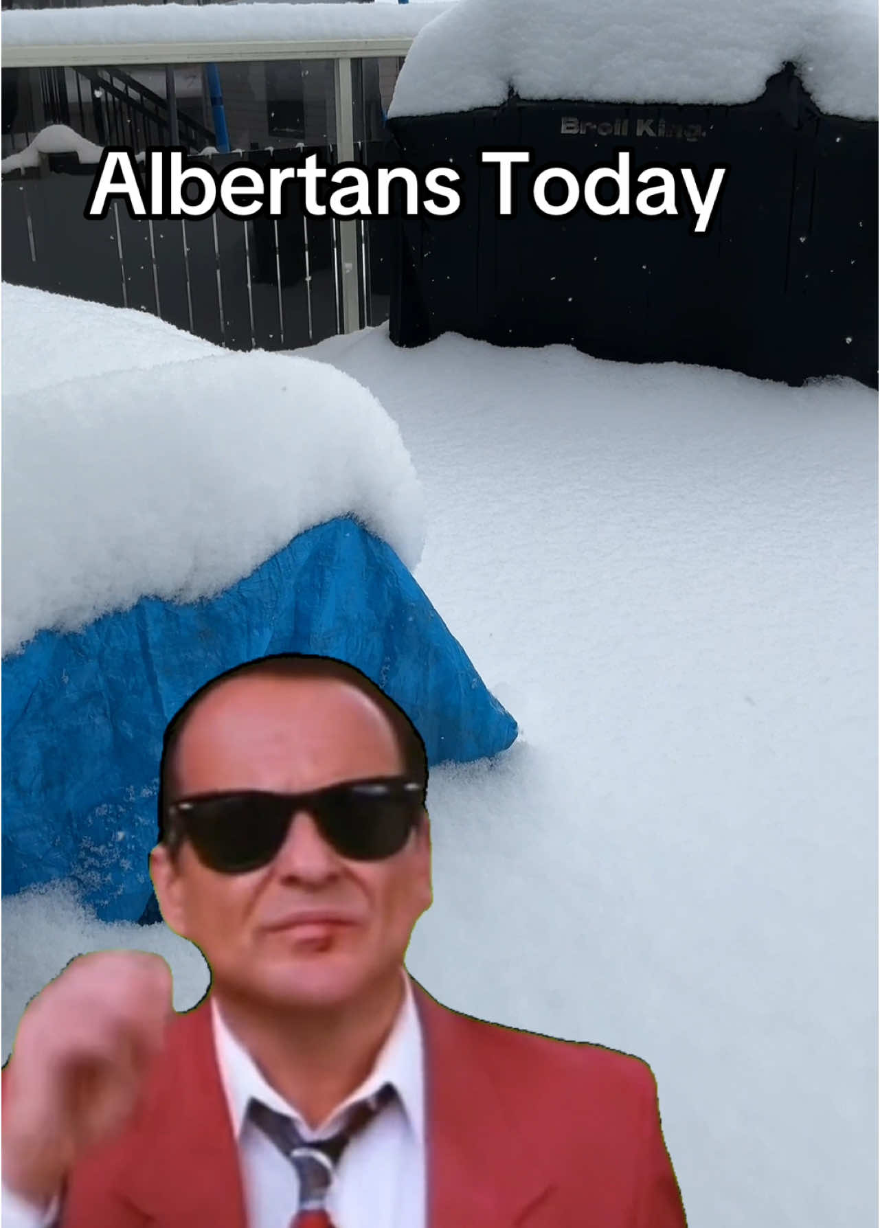 Weather today here in Alberta  #albertaweather #YEG #humor #snow