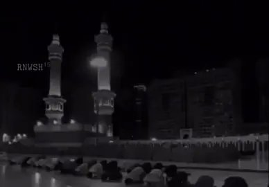 سبحان الله وبحمده#اللهم_صلي_على_نبينا_محمد #fyp 