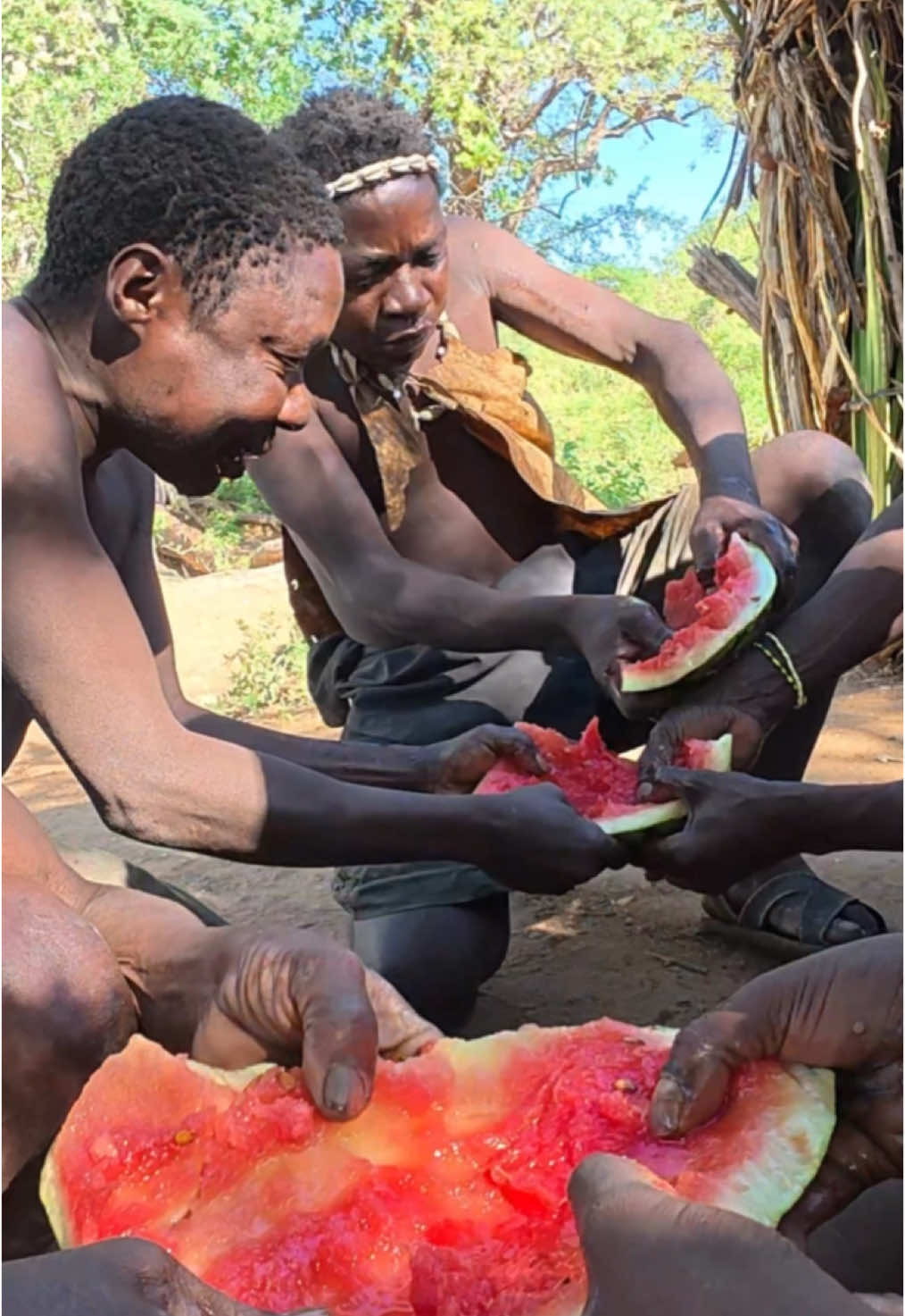 Hadza Tribe Men now vegetarian #hadzabe #africa #travelvlog #travelvlog #hadzabetribe #hadza #baboon #vegetarian 