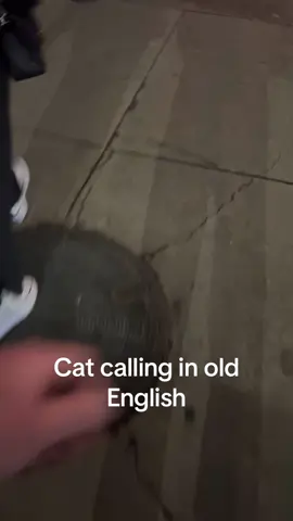 Cat calling in old english @sidney grana   #funny 