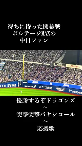 待ちに待った開幕戦ボルテージMAXの中日ファン#中日ドラゴンズ #応援歌 #岡林勇希 #ハマスタ #プロ野球 #優勝するぞ 