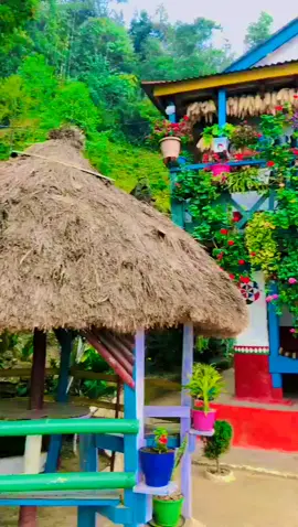 माटोको घर होला तिम्राे म महल हेर्ने छैन् ,  तिमी निर्धक्क भयर आफ्नो सपना पूरा गर्नु ,     म समय नहेरी कुर्ने छु ,  बस तिमी आउने बाटो नभुली दिनु  ,  म जिन्दगी नै तिम्राे नाम गरिदिन्छु 💛🙏❤️#gau_ghar🏡❤️ #panchthar_muser♡🍁💟 @GovindaLimbu  @shilsila7 @✅AnजलRai❤️ @Uttam_Yonghang @bimantalimboo @maboma @ÃJÏŤ @Bhupenlimbu11 @mr.roshan chemjong  @Dona Thapa Magar @Alan Thapa @✅AnजलRai❤️ 