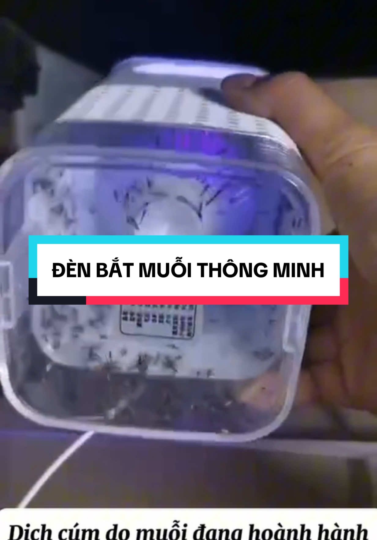 Đèn bắt muỗi cảm ứng kiêm đèn ngủ #denbatmuoi #denbatmuoithongminh #denbatmuoigiadinh #denbatmuoicaocap #denbatmuoikiemdenngu #denbatmuoidienquang #denbatmuoitudong 