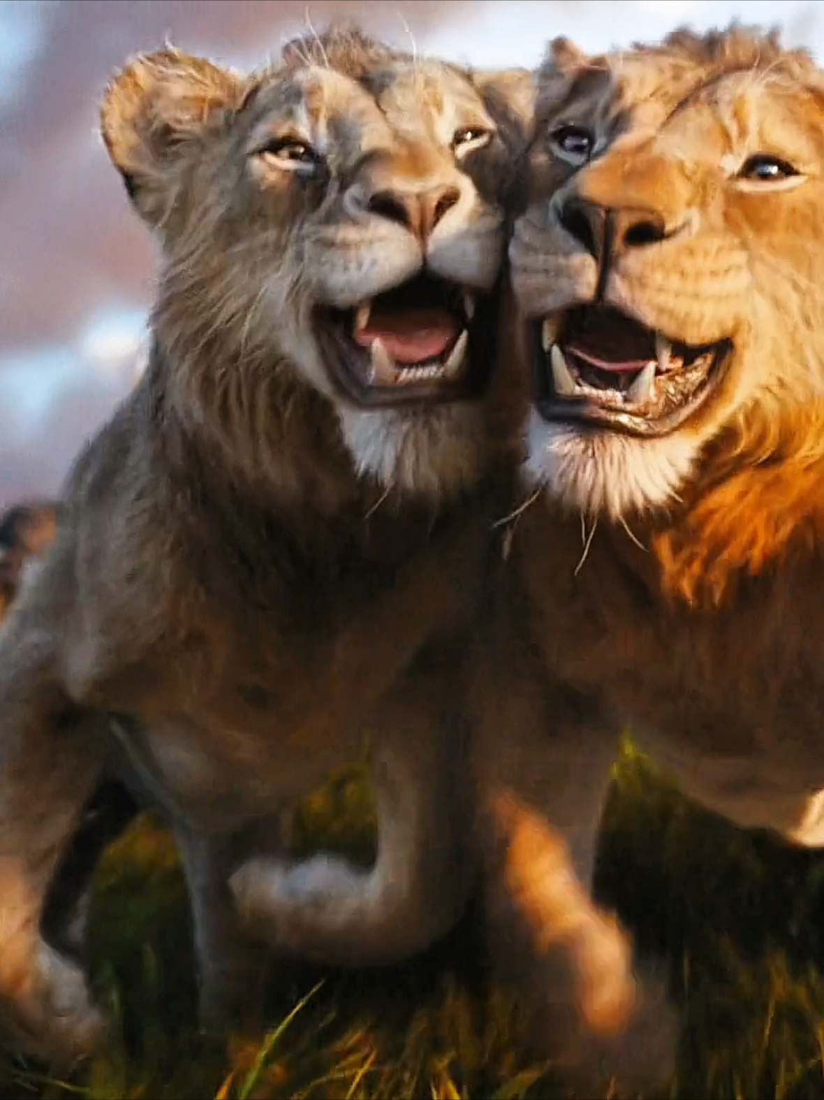 Mufasa: The Lion King - Bahasa Indonesia Aku Ingin Punya Kakak/I Always Wanted A Brother #mufasathelionking #mufasa #thelionking #dubbingindonesia #disney #musik #film #virał #fyp 