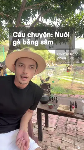 nuô gà bằng sâm #xuhướng