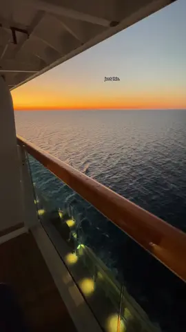 All I need. #cruiseship #cruisetok 