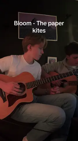 Bloom - the paper kites #guitartok #acousticguitar #guitarcover #thepaperkites #guitarist #fyp #viral #kristianhandeland 