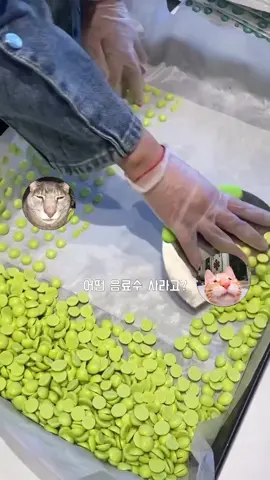 발음 안좋은 누나와 귀 안좋은 동생 #통화녹음 #미에로화이바 #미에로사이다 