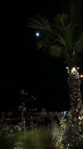 #fypシ゚viral🖤tiktok☆♡🦋myvideo #اكسبلووووووووور #explorepages #for #محمد_المقحم 