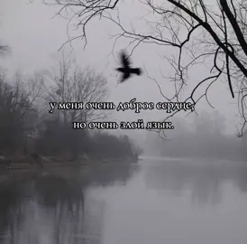 #щитпост #щп #рек #rge #язык #рекомендации #fyp #цитаты #необычное #сердце 