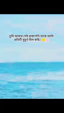তুমি আমার সেই প্রজাপতি যাকে আমি প্রতিটি মুহূর্ত মিস করি,!😊🌸 #caption#tanding #furyoupage  #tiktok #viral#tiktokbangladesh @TikTok Bangladesh 