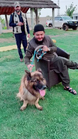 #sufijamilkhan#