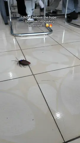 #remotecontroltoy #cockroach #troll #tiktokshop #creatorsearchinsights #tiktokmademebuyit 