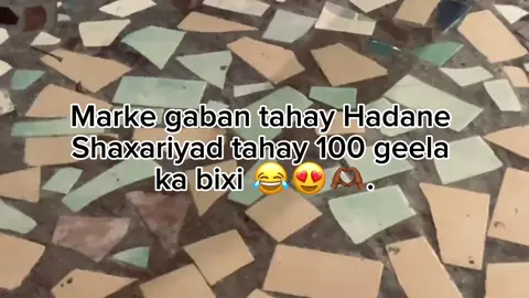 Shaxariyad😂🤤💕#fyp #sheikh_mohamett💕 