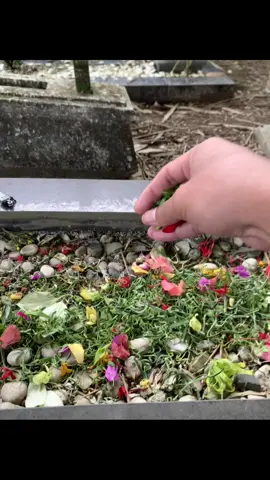 Alfatihah🤲🏻 #nyekarmakam #ayahhebat #kuburan 