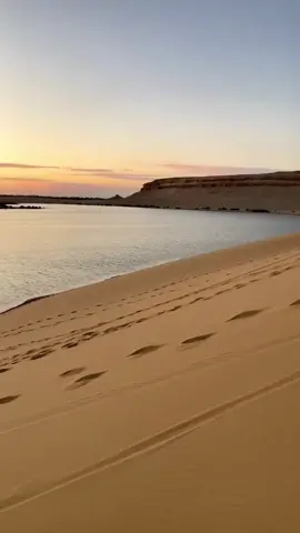 🏺✨ Discover the Magic of Egypt! ✨🏺 From the towering pyramids of Giza to the serene beauty of the Nile, Egypt is a land of wonders waiting to be explored! 🌍🏜️ Walk in the footsteps of pharaohs, sail on a traditional felucca, and immerse yourself in the rich history and vibrant culture of this breathtaking destination. Whether you dream of exploring ancient temples, diving in the crystal-clear waters of the Red Sea, or experiencing the bustling streets of Cairo, Fly & Find Egypt Tours has the perfect itinerary for you! 🏖️🐪🚤 📍 Book your adventure today and let us take you on an unforgettable journey through time! #egypt #flyandfindegypttours #exploreancientegypt #PyramidsOfGiza #NileCruise