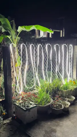 Đèn led dây màu trắng đôi 2 bóng siêu sáng chống nước #denled #denledday #dayledrgb #dayledtrangtri 