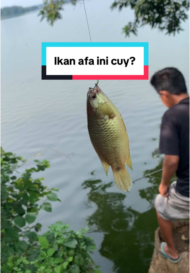 Buat mentahan mancing #JelajahRamadan #mancing #storymancing #mancinglucu #mancingseru #fyppppppppppppppppppppppp 