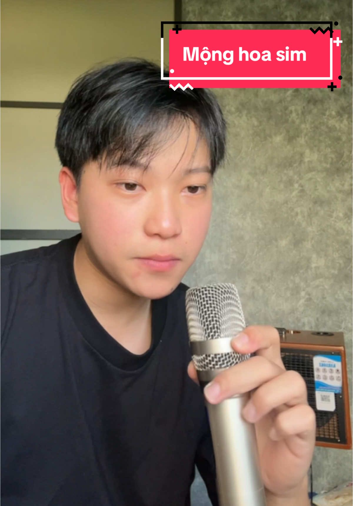 Mộng hoa sim cover #monghoasim #cover #loakeo 