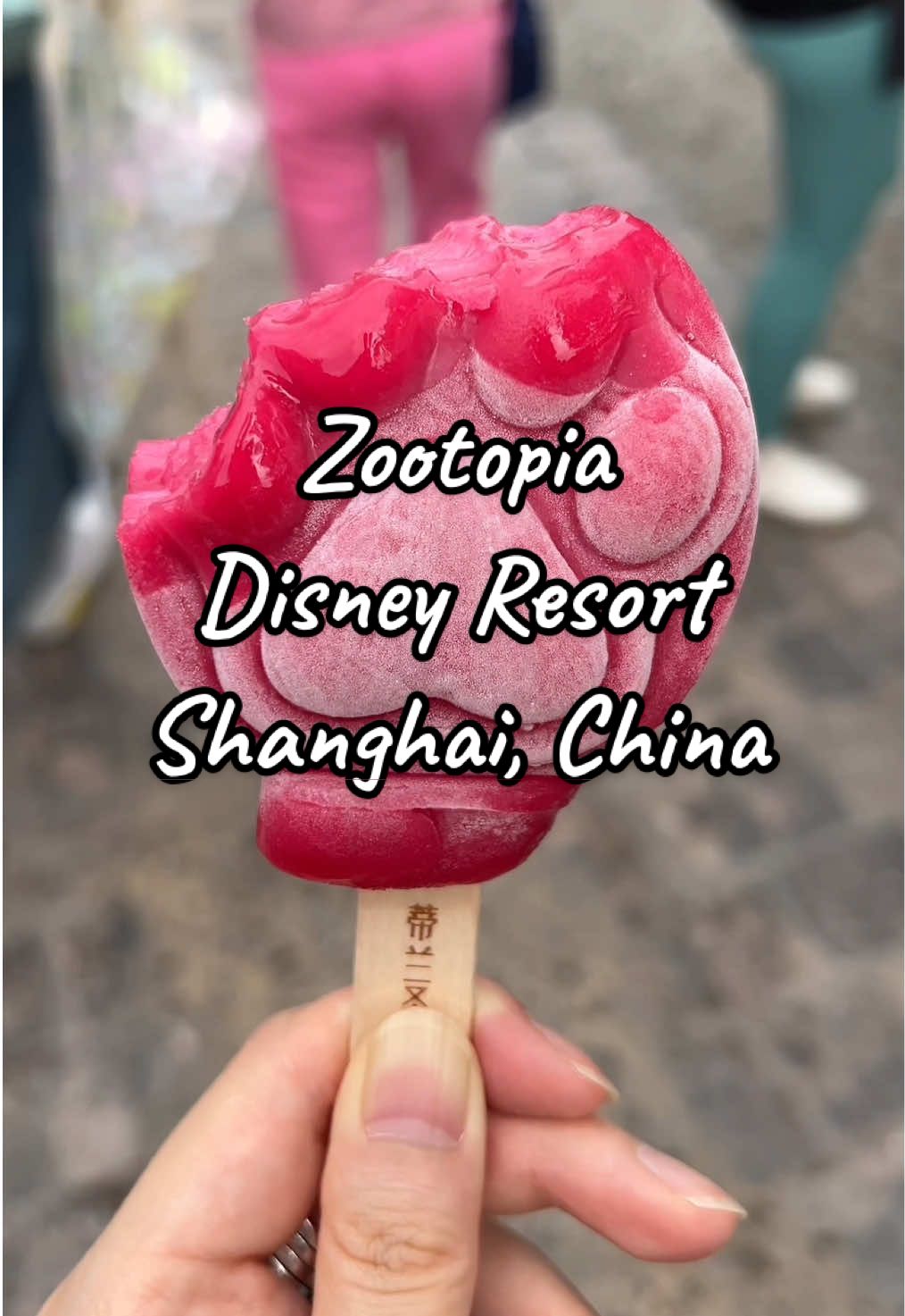 It’s red wood, with a space in the middle. Red wood. 🪵 ❤️🐰🦊🐾 #zootopia #nickwilde #judyhopps #disneyland #shanghai #icecream #pawpsicle #dumbbunny #slyfox #hustle #disney #food #disneyfood