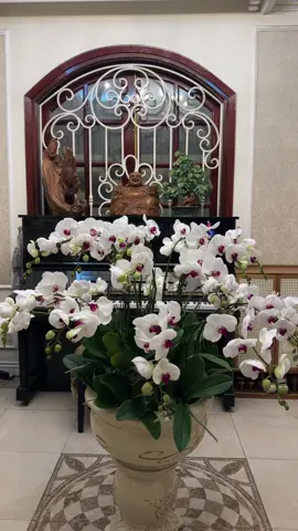 Khi bạn im lặng, bạn nghe được nhiều hơn,Thấu hiểu sâu hơn Và tránh những sai lầm đáng có … 