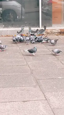 #onthisday #nanuofficial1 