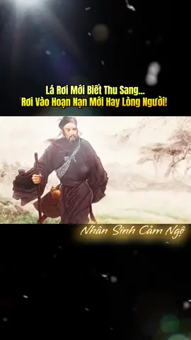 Phong Ba Thấy Tấm Chân Tình! #nhansinhquan #trietlycuocsong #kinhnghiemsong #baihoccuocsong #LearnOnTikTok #sachhay #Đời & Đạo
