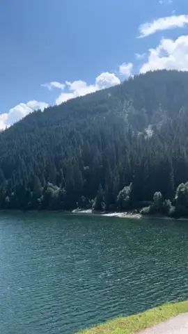 Is destroying our national identity and the safety of both men and women really worth it if it doesn't even contribute to our economy? This madness has to be stopped before our beautiful countries become third world countries. #immigration #politics #sweden #europe #lepatriinulifts #fyp 